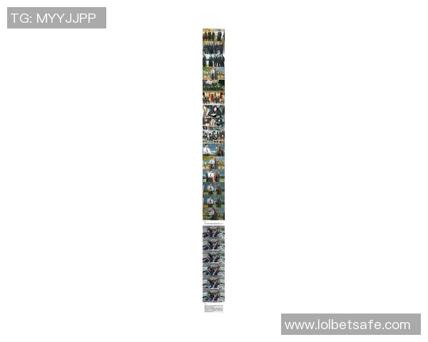 杰西卡与姚明的友谊之旅：跨越文化与运动的精彩故事